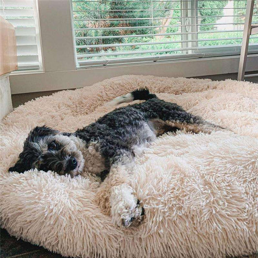 Calming Anti-Stress Dog Cushion – Nuvio