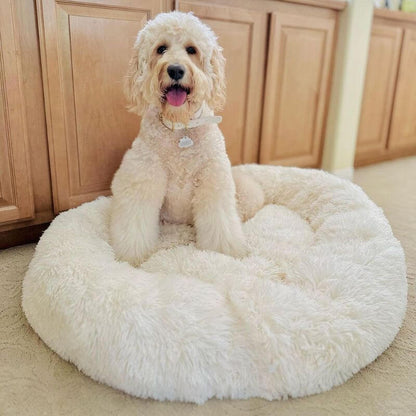 Calming Anti-Stress Dog Cushion – Nuvio