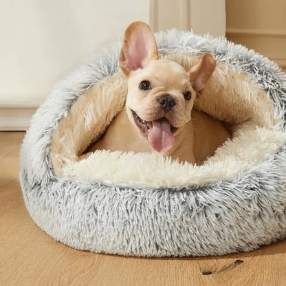 Cream French bulldog puppy with tongue out resting inside a grey shaggy hooded bed on a wooden floor. 1