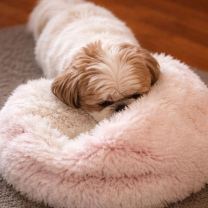 Fluffy Shih Tzu resting its head on the rim of a pink plush donut bed, seen from above. 12