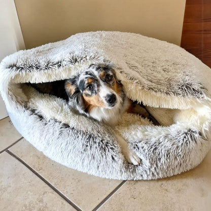 Blue merle collie peeking out from under the lifted hood of a large grey and white bed on a tiled floor. 7