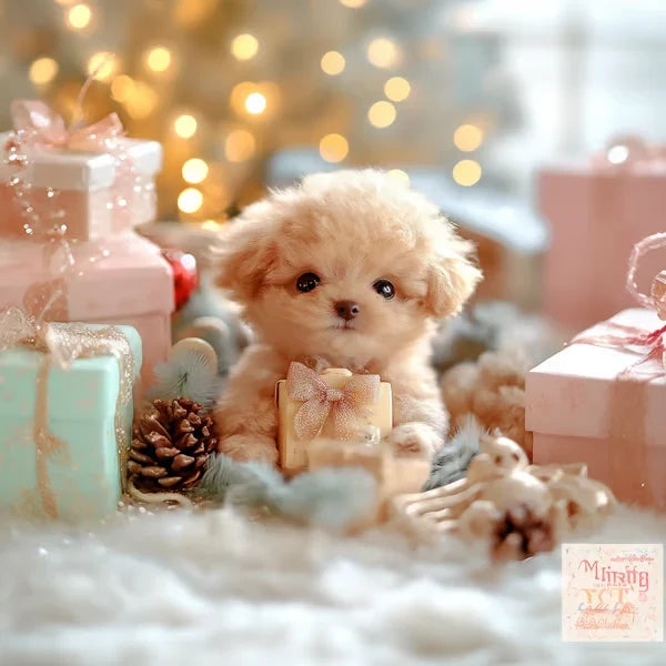 Small peach plush puppy sitting on a white fluffy rug among pastel gift boxes, a pine cone and fairy lights. 4