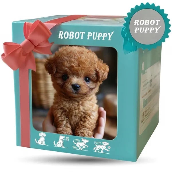Turquoise gift-style box with a coral ribbon bow and clear window showing a curly brown puppy held in a hand. 9
