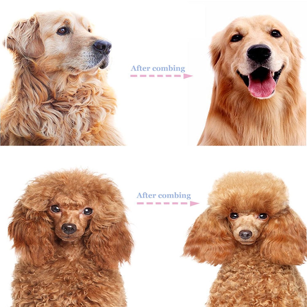 Before-and-after comparison of a golden retriever and a poodle, with tangled coats on the left and neat combed coats on the right. 7