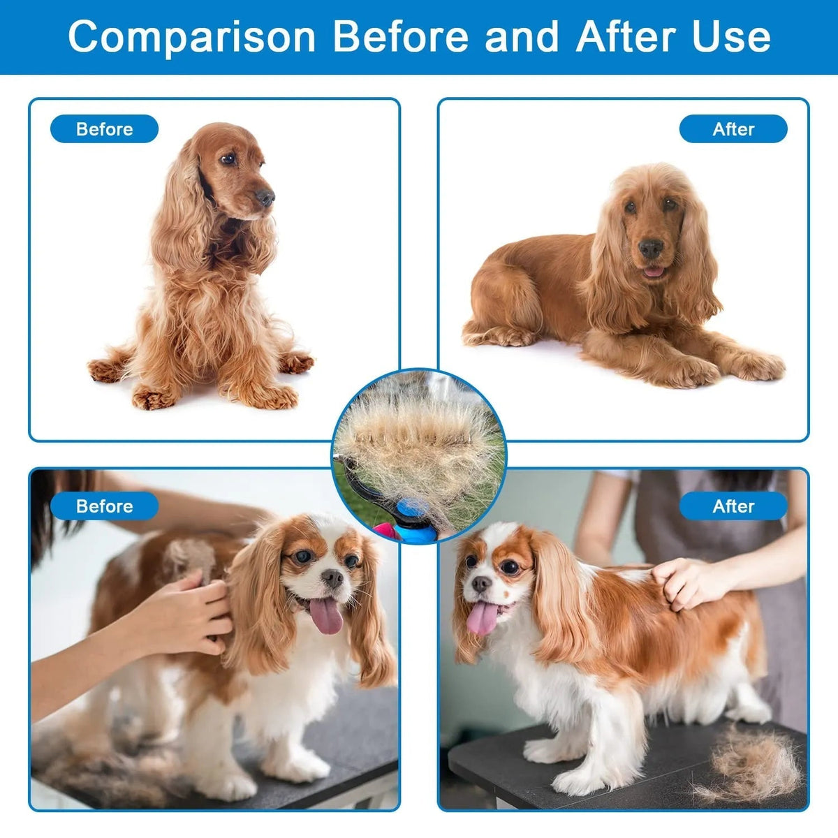 Before-and-after grid of spaniels and a cavalier groomed with the rake, with a tuft of removed fur at the centre. 6