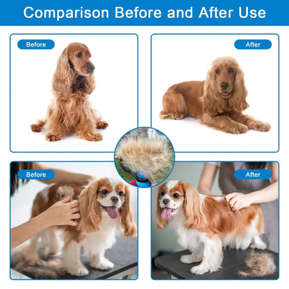 Before-and-after grid of spaniels and a cavalier groomed with the rake, with a tuft of removed fur at the centre. 6