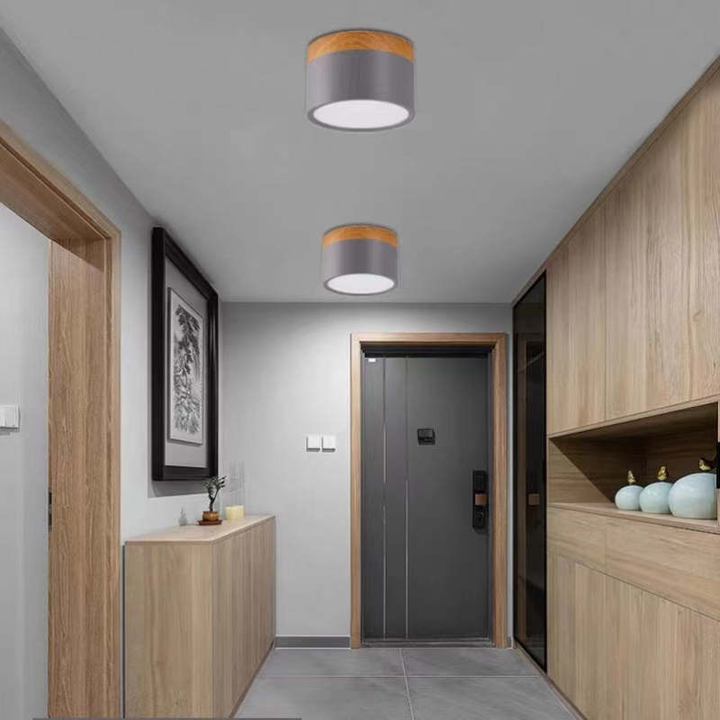 Morandi Style Modern LED Ceiling Light - LumiModo