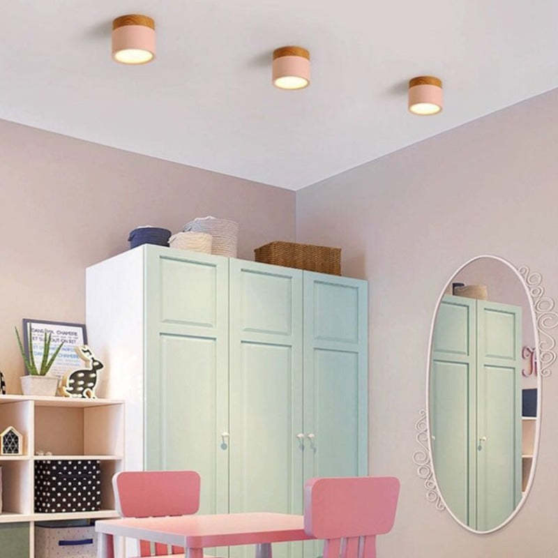 Morandi Style Modern LED Ceiling Light - LumiModo