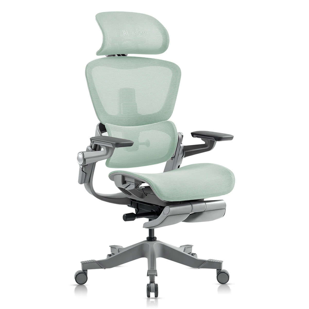 Ergonomic Office Chair with 16 Adjustable Features - ErgoFlex