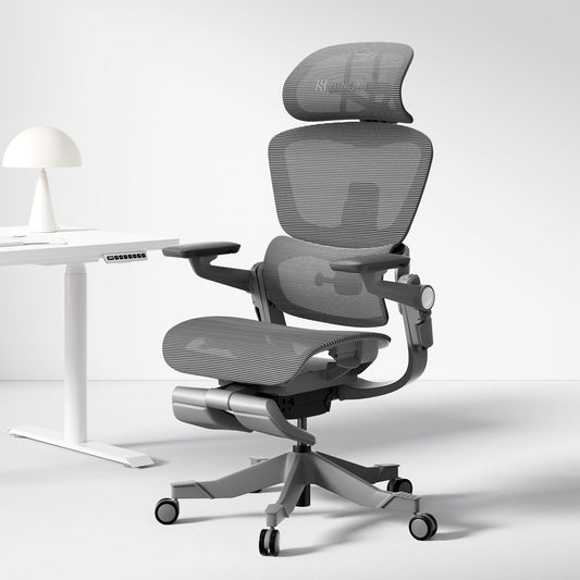 Ergonomic Office Chair with 16 Adjustable Features - ErgoFlex