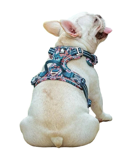 Comfortable & Durable Dog Harness – Vendo