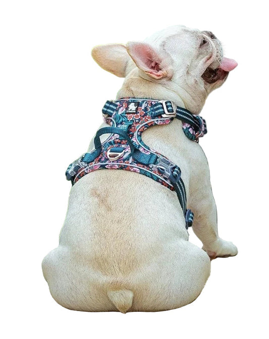 Comfortable & Durable Dog Harness – Vendo