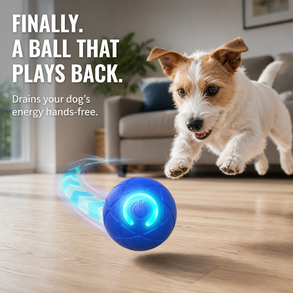 Small white and tan terrier leaps towards a blue glowing ball rolling across a living room floor 1