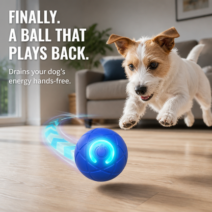 Small white and tan terrier leaps towards a blue glowing ball rolling across a living room floor 1
