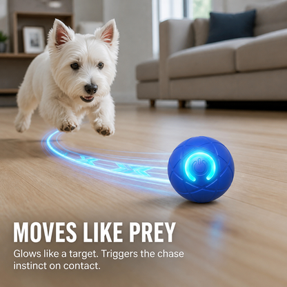 White terrier chases a blue ball with a glowing ring and light trail across a wooden floor 3