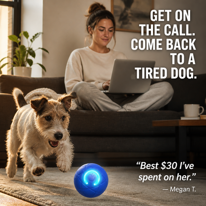 Woman on a sofa with a laptop smiles as her terrier chases the glowing blue ball 7