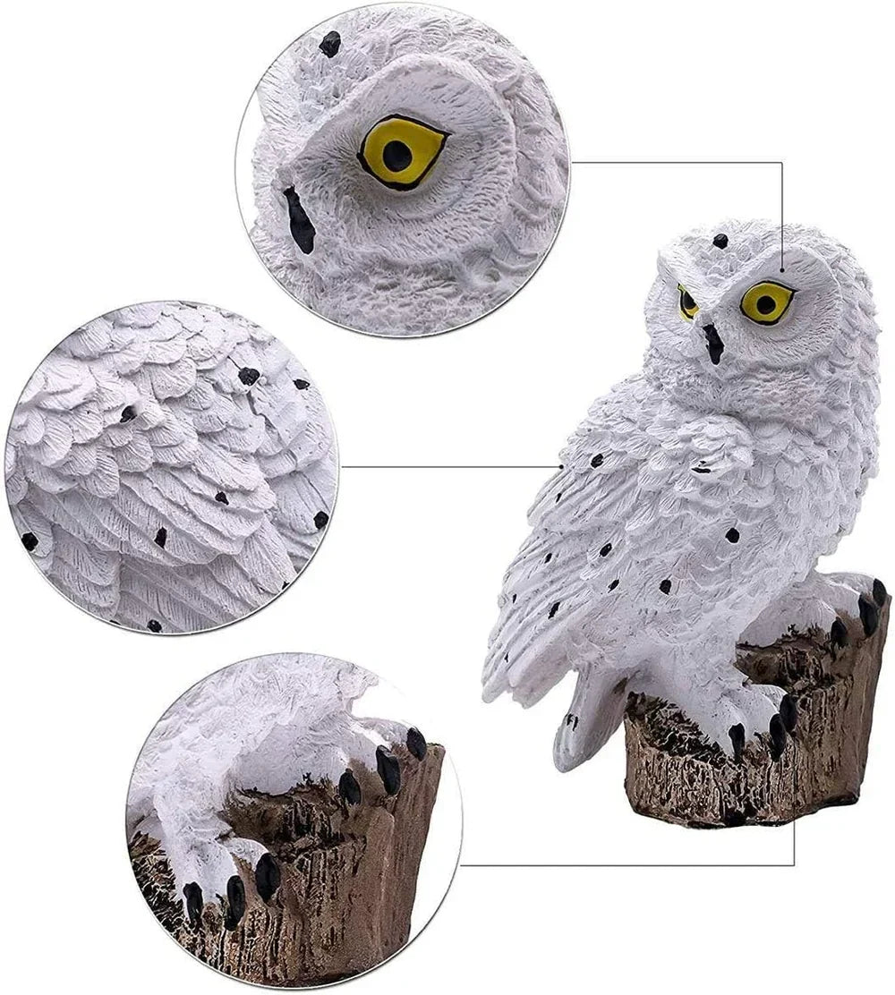 White owl with yellow eyes beside three detail circles showing the face, feathered wing and clawed feet on the stump. 14