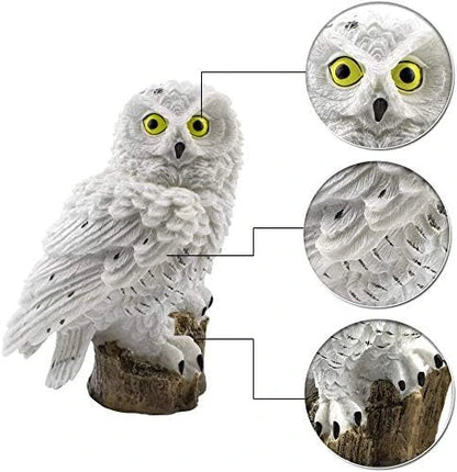 Unlit white owl with yellow eyes and three close-up circles showing its face, feather texture and claws on the stump. 11