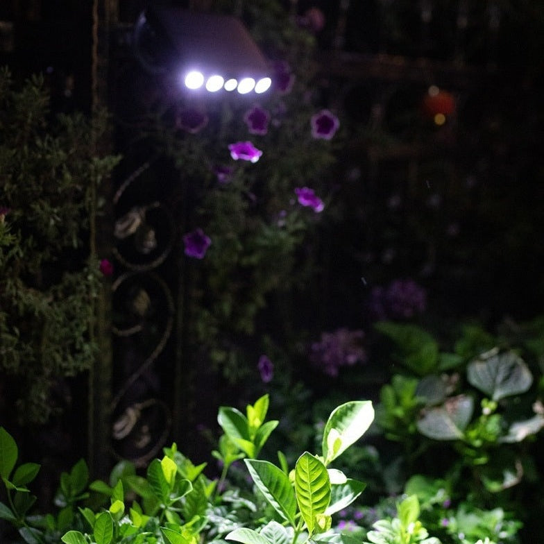 Solar outdoor light with motion sensor – Lumina