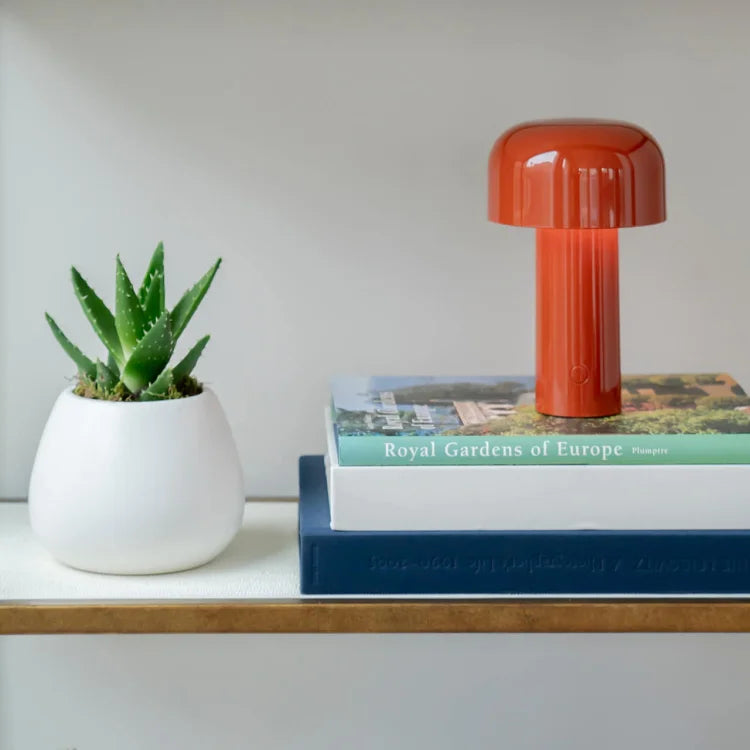 Red lamp on a stack of books beside a potted aloe on a shelf 17