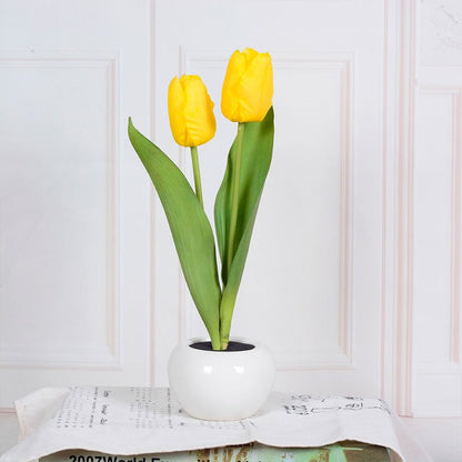 Decorative LED Tulip Table Lamp – Florima