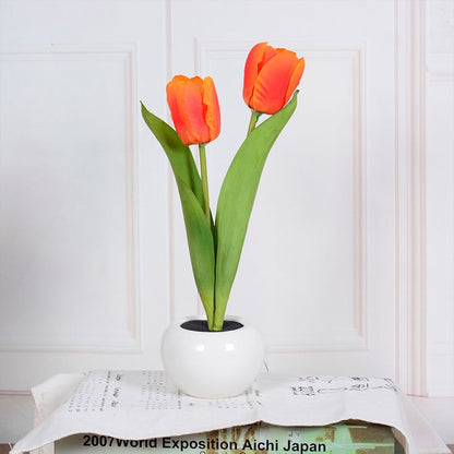Decorative LED Tulip Table Lamp – Florima