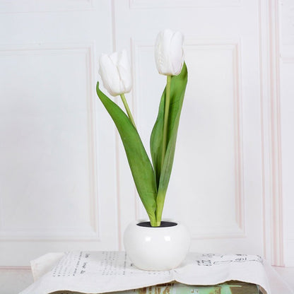 Decorative LED Tulip Table Lamp – Florima