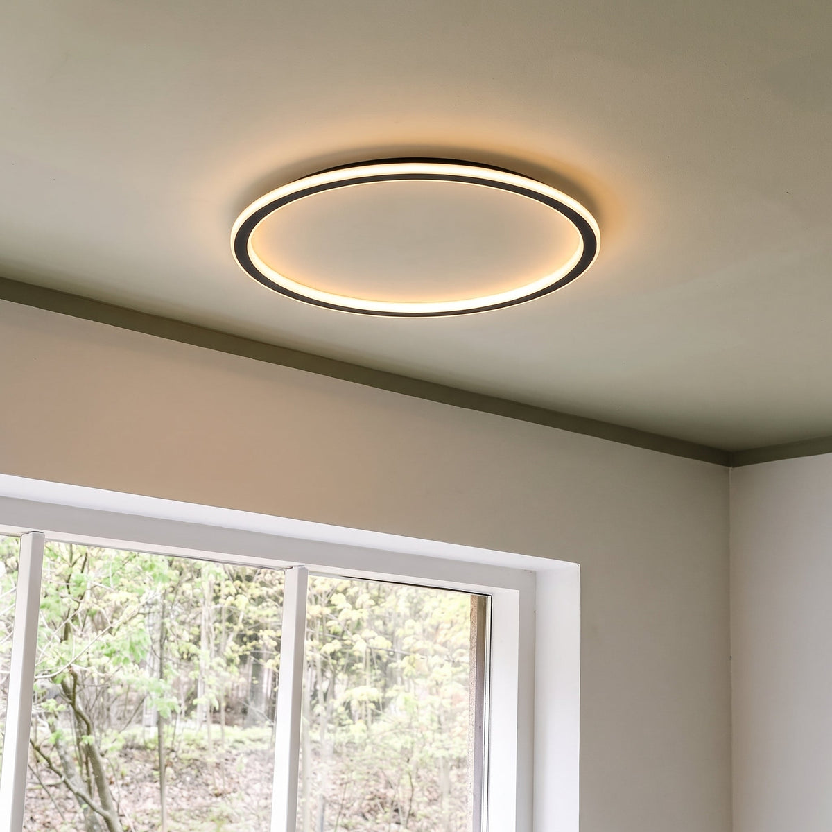 Lit ring ceiling light in a room corner, with a white-framed window showing trees outside. 8