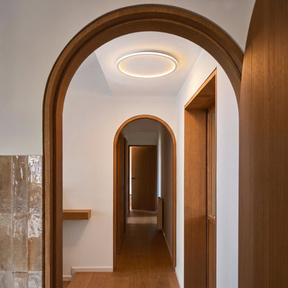 Glowing ring light on the ceiling of a narrow hallway, seen through a wooden arched doorway with oak doors and floor. 4