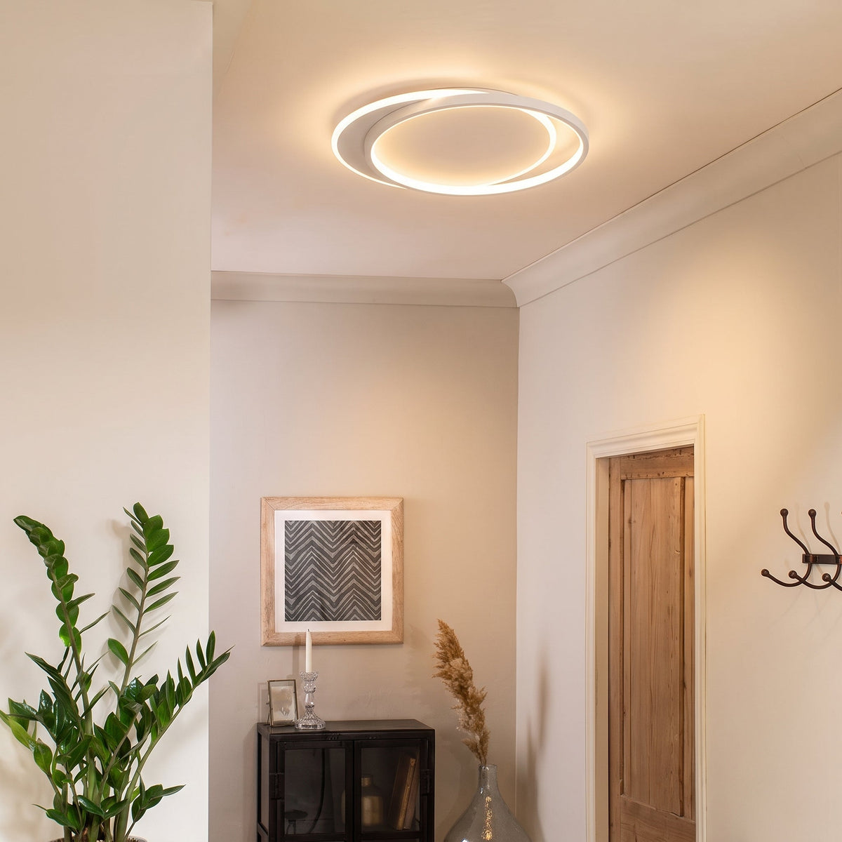 Ceiling light switched on in a hallway with a plant, framed print and wooden door 4