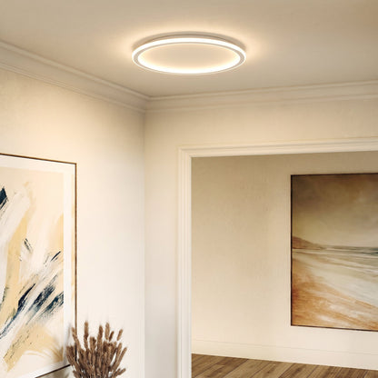 Ceiling light switched on in a hallway with cornicing, framed by abstract and beach-scene paintings and a vase of dried grasses. 3