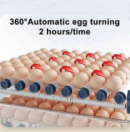 Automatic Incubator – HatchEase
