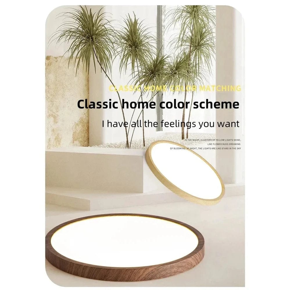 Walnut and light wood versions of the round light styled in a bright room with tall decorative grasses. 4
