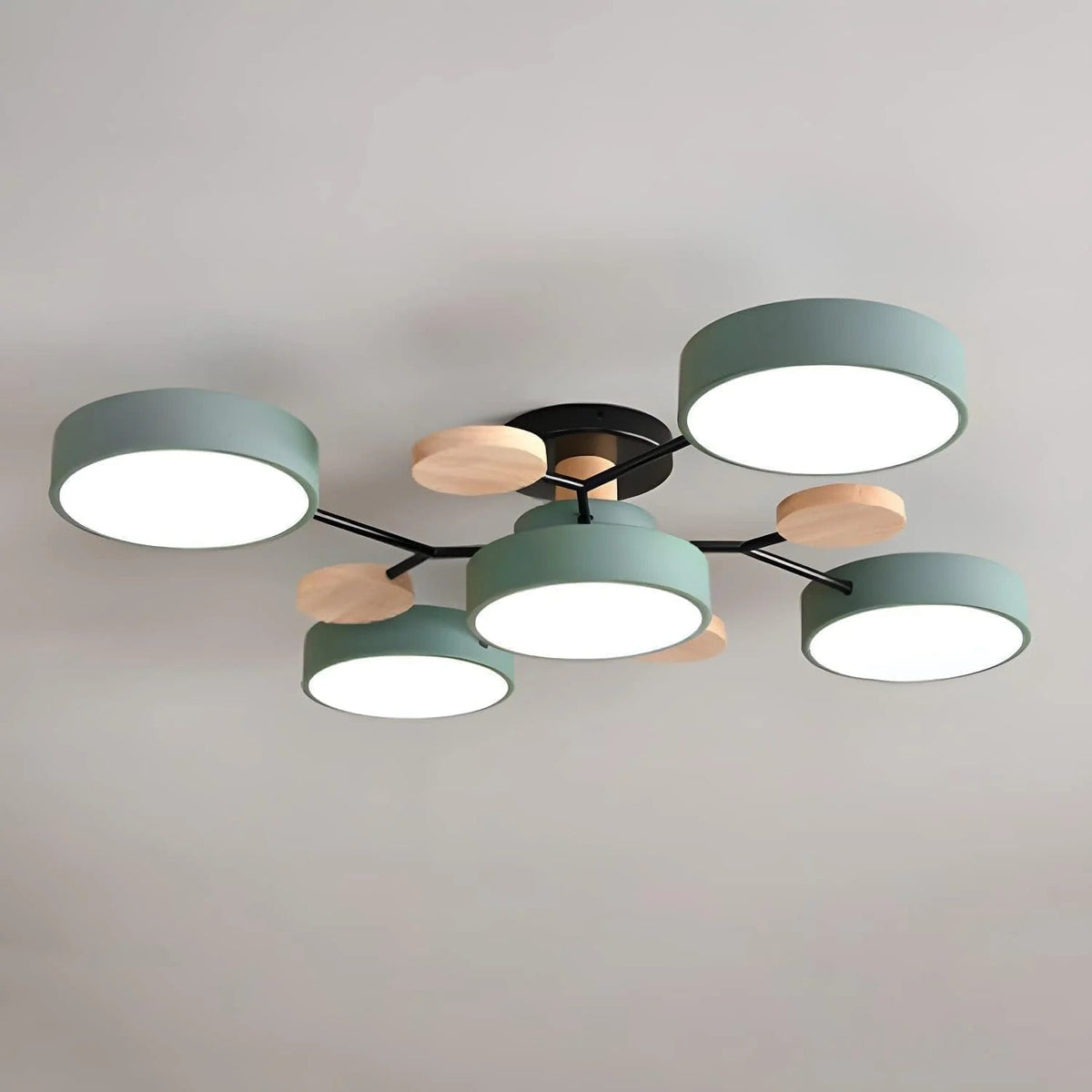 Modern LED Ceiling Light Chandelier for Living Room 41