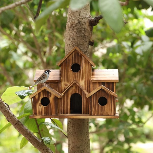 Functional wooden nesting box for garden birds – Nestora