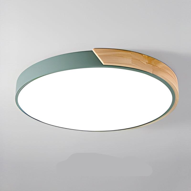 Green round ceiling light with a wooden segment on the rim, shown from below against a plain grey background. 13