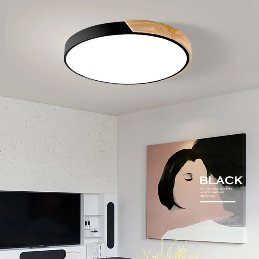 Second view of the black ceiling light with wood segment, glowing above a living room with a television and framed portrait. 2
