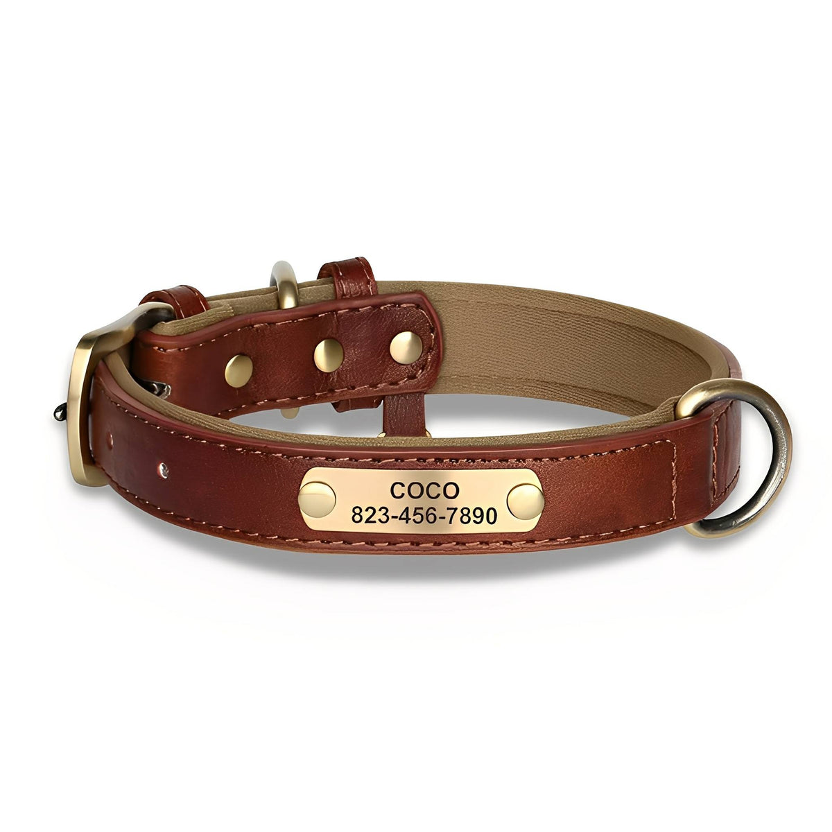 Engraved Leather Dog Collar with Personalized Nameplate 9