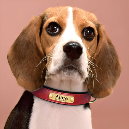 Engraved Leather Dog Collar with Personalized Nameplate 1
