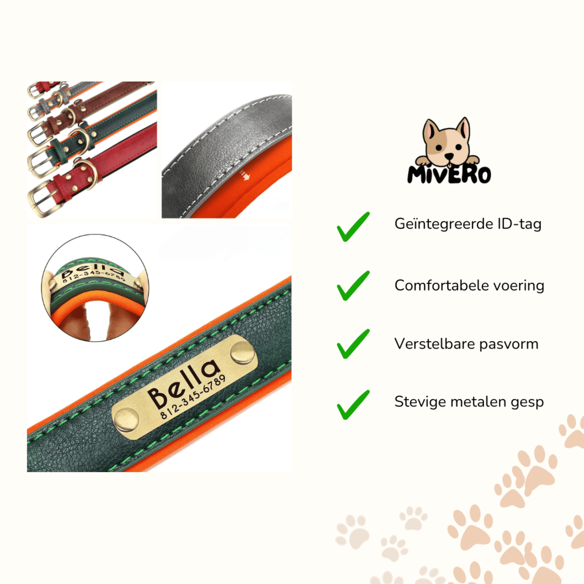 Engraved Leather Dog Collar with Personalized Nameplate 7