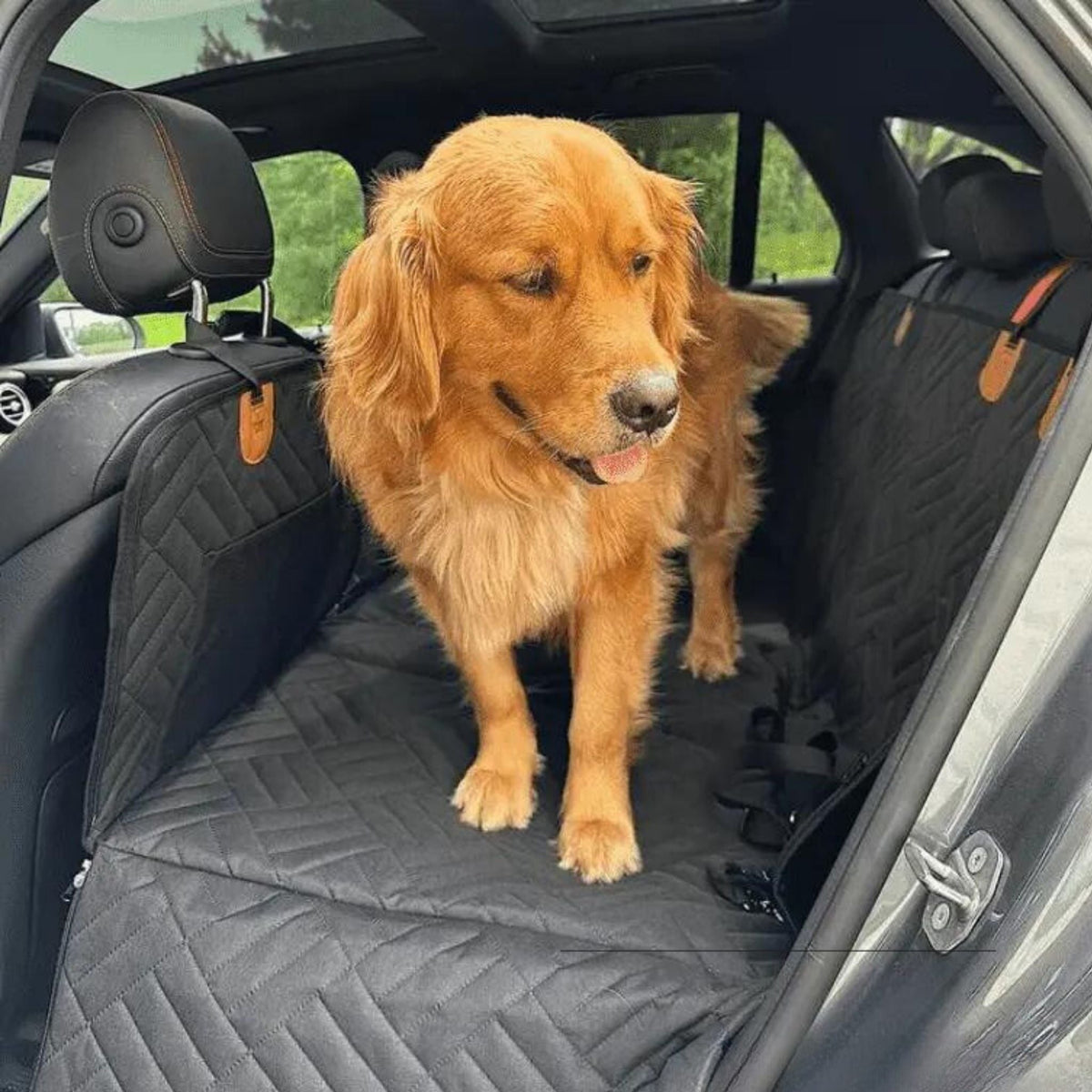 Golden retriever standing on the black quilted cover across the rear seats, with tan fastening tabs on the headrests. 5