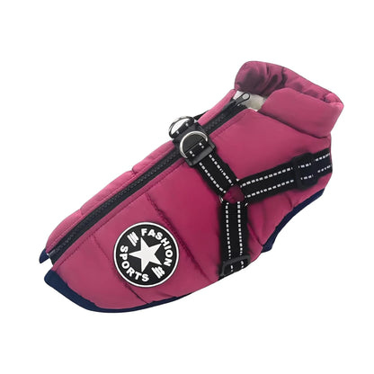 Burgundy-pink padded coat with black harness straps, double lead rings and a zip along the back, shown on a white background. 17