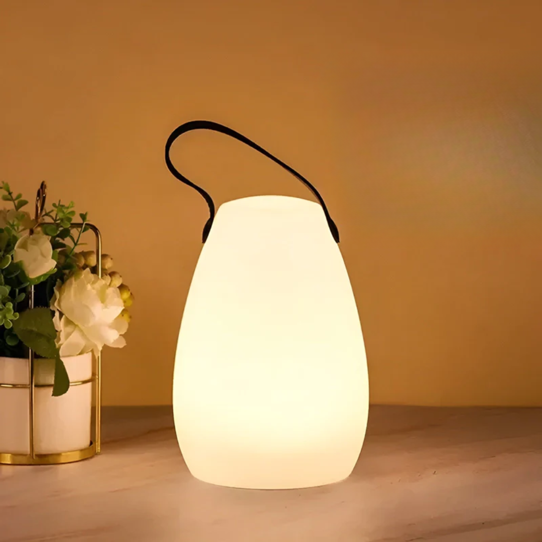 Rounded vase-shaped lamp glowing warmly on a table beside a gold-framed flower pot 14