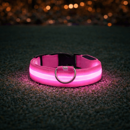 Pink collar glowing on dark grass at night, casting a pink light onto the blades around it. 7