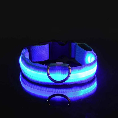 Blue collar lit up against a black background, with its glow reflected on the glossy surface below. 4