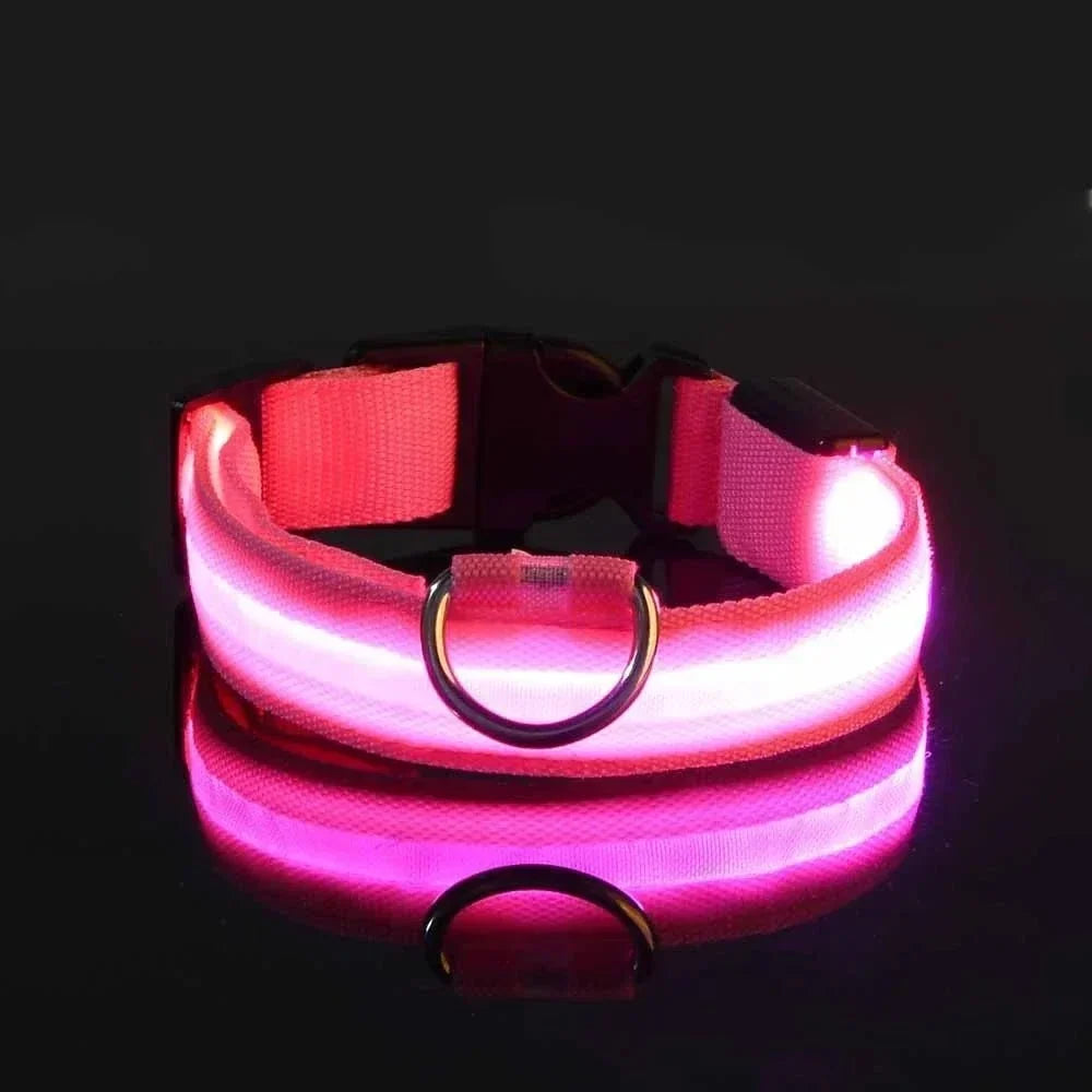 Pink collar glowing brightly against a black background, with the buckle, D-ring and reflection visible. 5