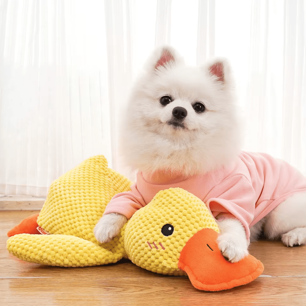 Small fluffy white dog in a pink jumper resting its paws on the yellow plush duck 2