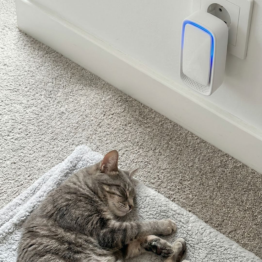 Ioniser with a blue glow in a wall socket, with a tabby cat asleep on a blanket 4