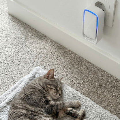 Ioniser with a blue glow in a wall socket, with a tabby cat asleep on a blanket 4