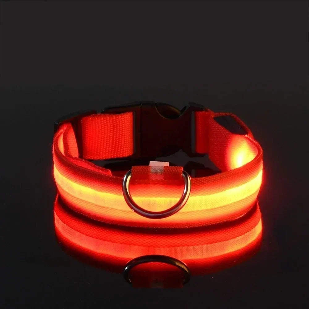 Orange collar with a glowing yellow-orange light strip on a black reflective surface, showing the D-ring and clip buckle. 8